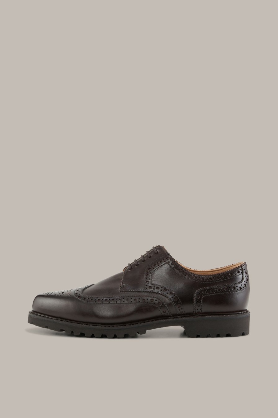 Online Windsor Budapest Shoes By Ludwig Reiter In Dark Brown